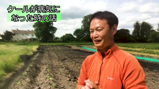 土と種を正常化する虫や病気の役割