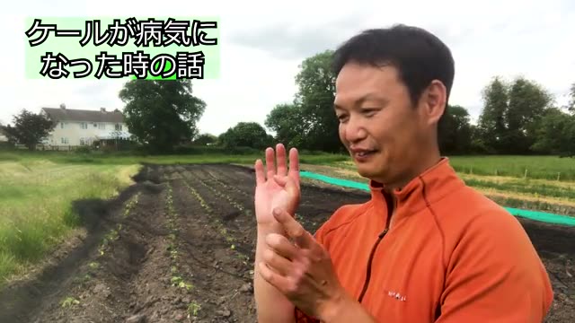 排除ではなく受け入れる姿勢がもたらした復活
