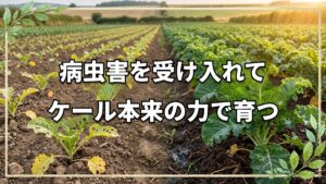 連作12年のケール定植手順と病虫害を克服する自然栽培の捉え方