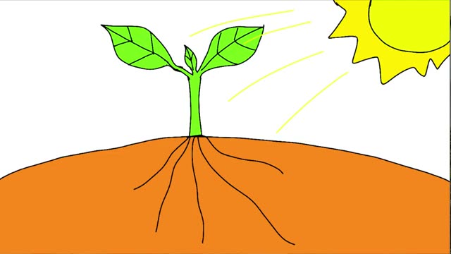 肥料が生み出す依存関係と微生物の衰退