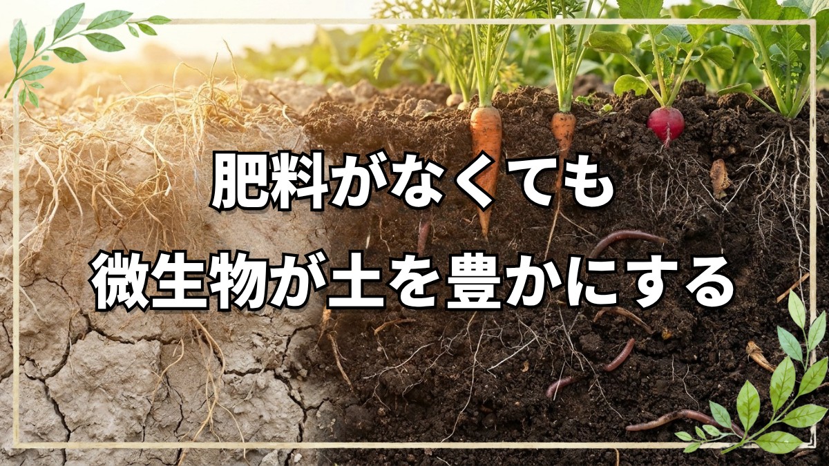 自然栽培の土と微生物の真実