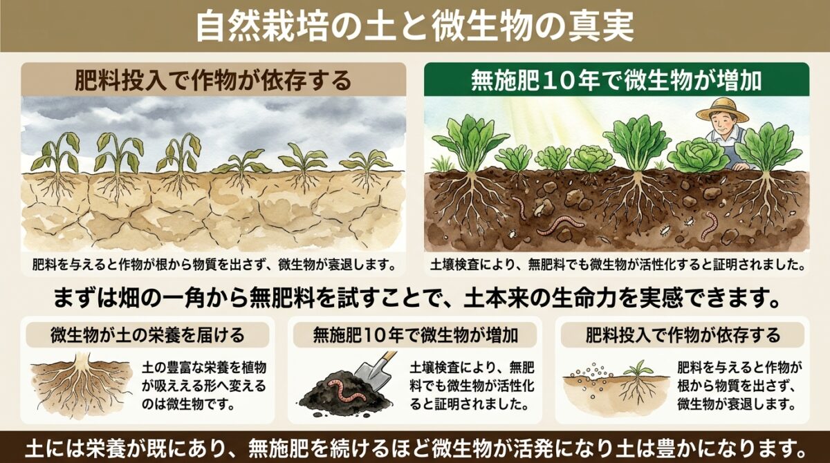 自然栽培の土と微生物の真実