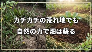 どんな畑でも大丈夫!自然を味方につけて土を蘇らせる自然農法の極意と土地選び