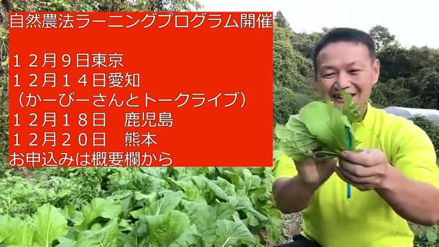 自然農法における野菜の葉の色は「黄緑色」が基本