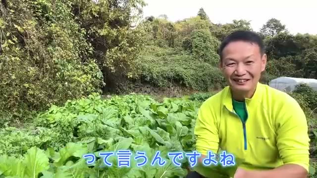 葉が「深緑色」になる原因と土の残留物