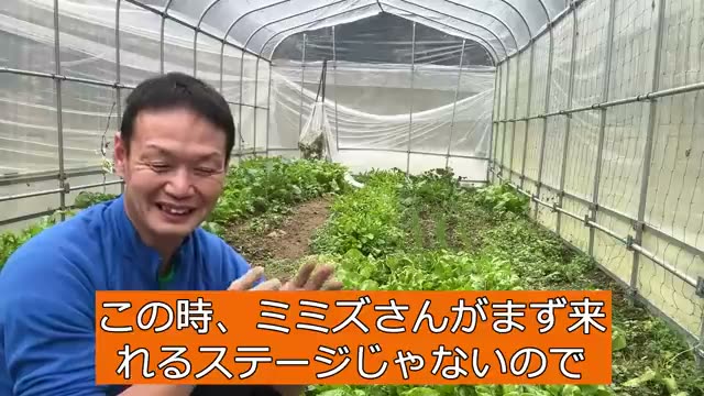 ミミズが「いない」ときに考えられる2つの理由