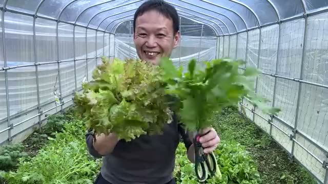 実証:自然栽培野菜の保存性と70倍の収穫量