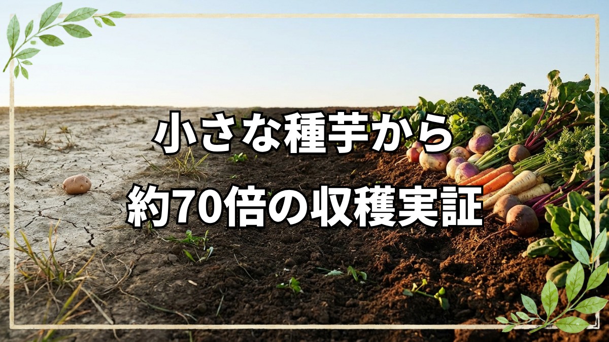【自然栽培】2024年の活動実績と今後の展開、野菜収穫70倍の実証記録