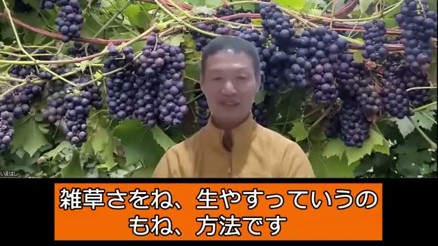 5. 自然栽培における草との実践的な付き合い方