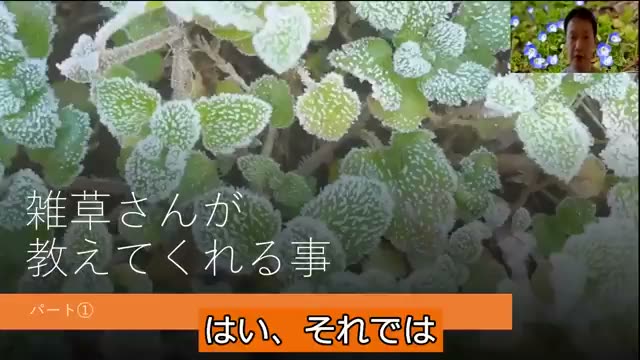 2. 雑草が教えてくれる「土の水分量」と対策