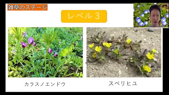 3. 雑草から読み解く「土のステージ(肥沃度)」