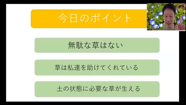 1. 雑草は「その場に必要な役目」を持って生えてくる