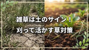 【自然栽培】雑草は土を治す味方だった!生えている草から土の状態を読み解く観察眼と付き合い方
