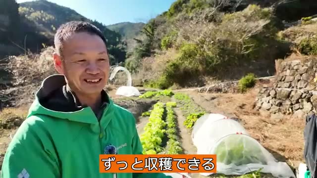 1. 「他(多)年草野菜」の圧倒的なメリット