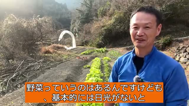 2. 植物の生命を支える「環境条件」