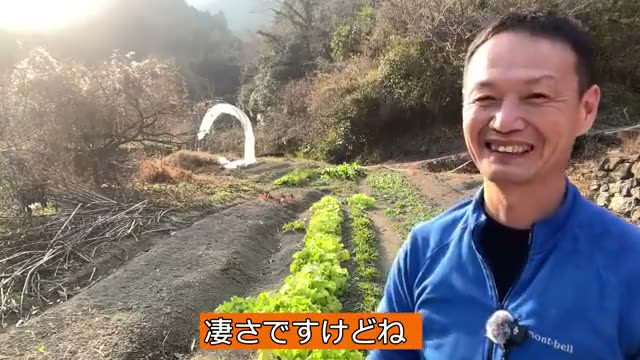 4. 自然栽培の土台となる「土の色・深さ」