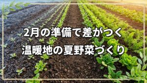 温暖地の2月種まきと野菜作りのコツ