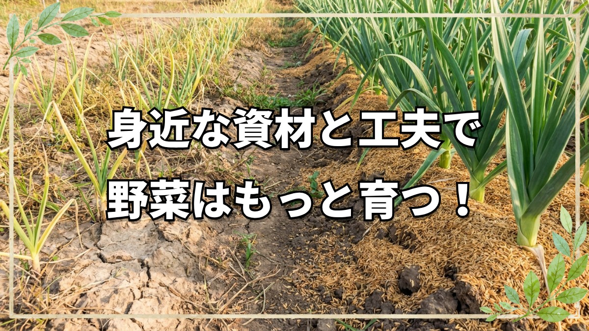 高知の知恵が詰まった畑を巡る｜ひろちゃん農園ファームツアーからの学び