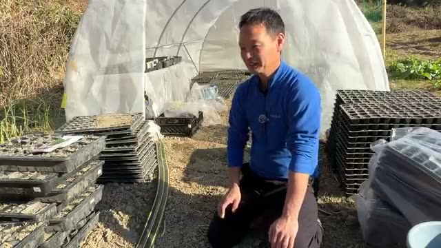 1. 直播きとポット育苗の使い分け