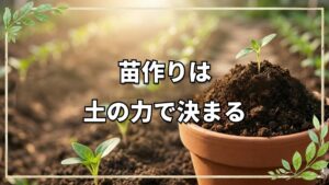 【自然栽培】苗作りは土の力で決まる!プロに学ぶ効率的な手順と極意