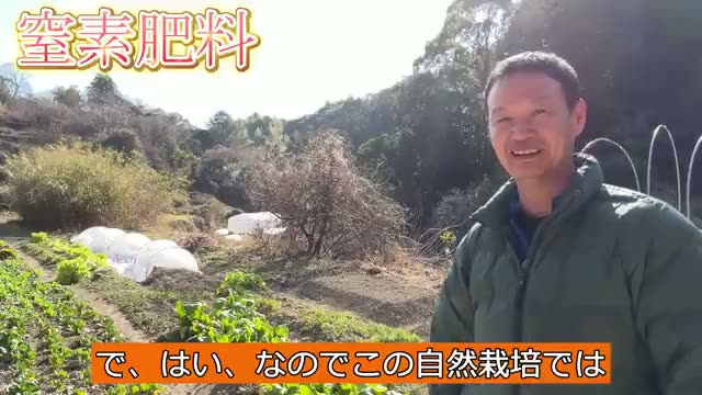 4. 雑草が教えてくれる「土のステージ」