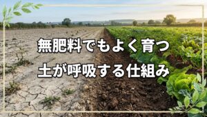 【自然栽培】「土さん」と向き合う。20年の実践者が語る、本質的な土の話