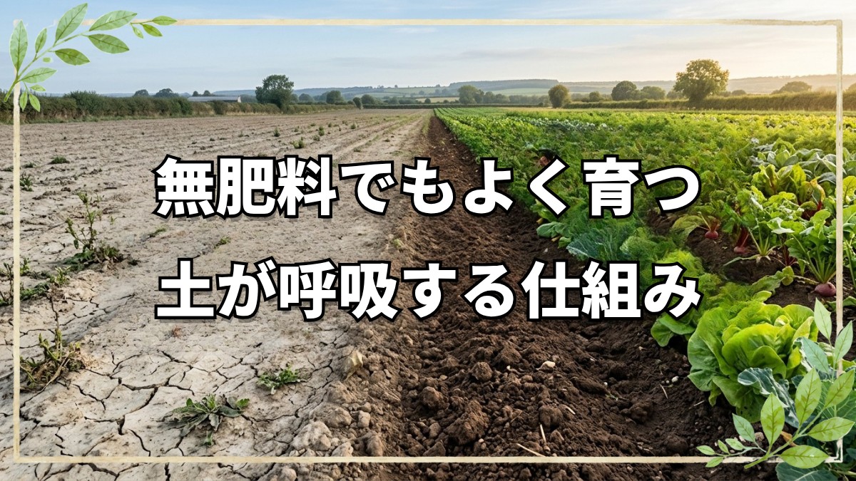 【自然栽培】「土さん」と向き合う。20年の実践者が語る、本質的な土の話