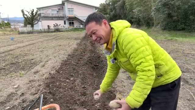 種芋の調整と効率的な株間測定