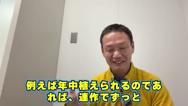 「休ませる」のではなく「待っている」という捉え方