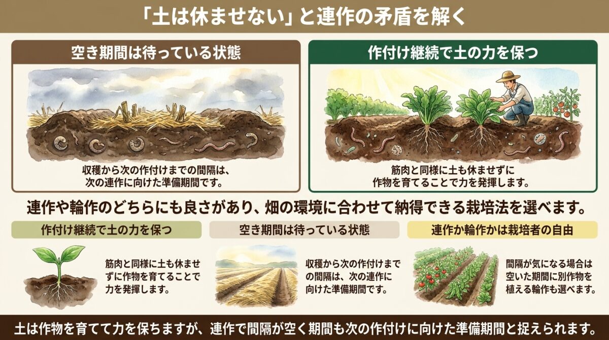 「土は休ませない」と連作の矛盾を解く