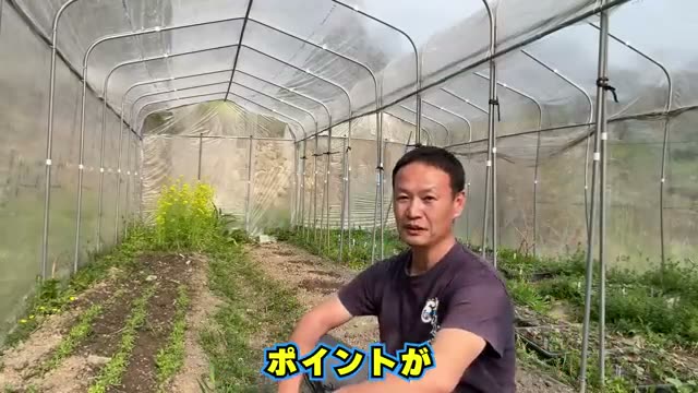 1. 発芽の黄金律：表面を「うっすら」湿らせる