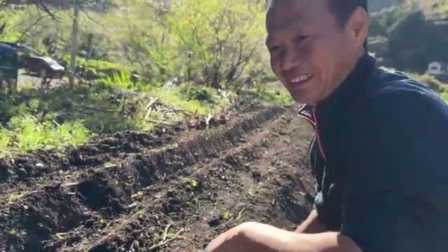 生姜とネギの植え付け作業