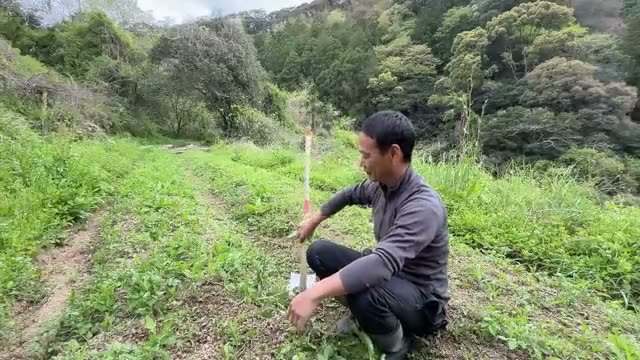 クワを使った短時間での整地手順