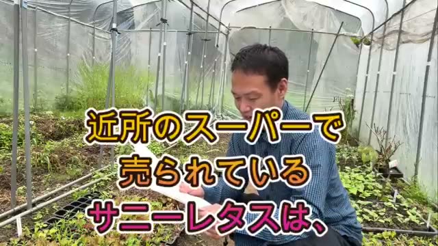 苦味がなく頭痛が和らいだという報告