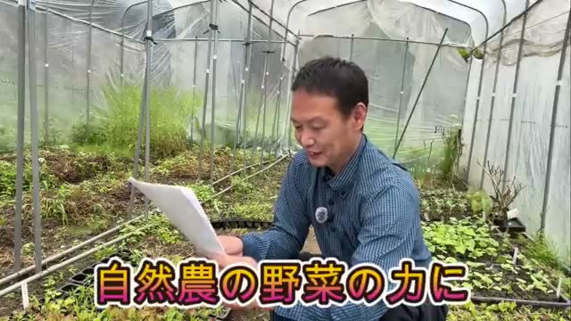 鎮痛剤を手放せた体験と調味料のいらない味
