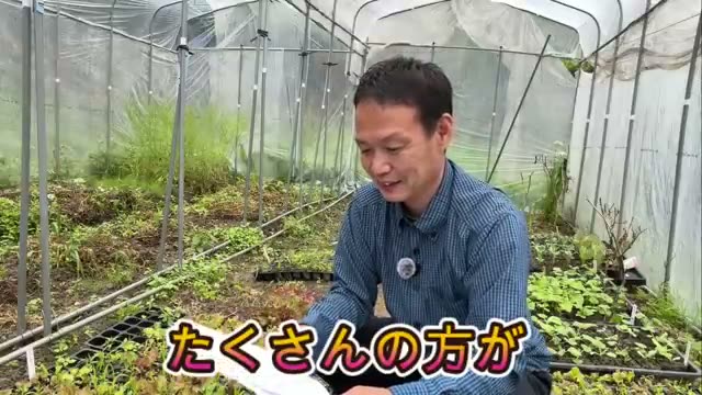 表情の明るさと日常への復帰
