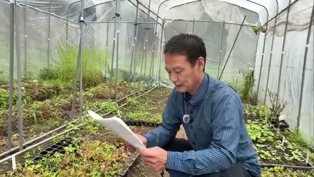 土付きのまま届ける理由と扱い方