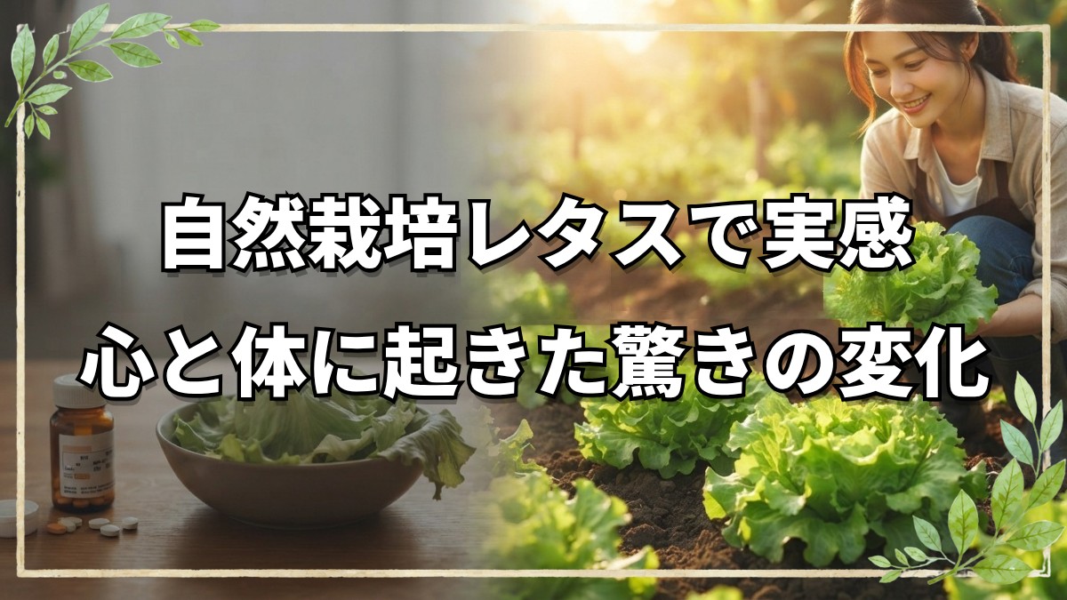 自然栽培レタスが療養者の体に起こした変化