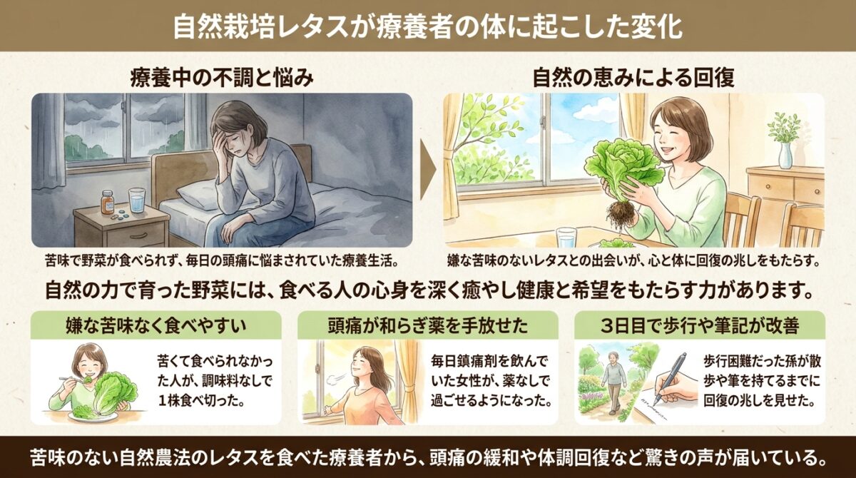 自然栽培レタスが療養者の体に起こした変化