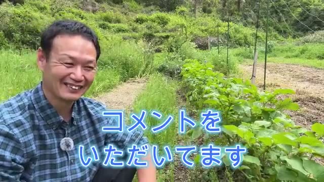 なぜドクダミやスギナが生えてくるのか?
