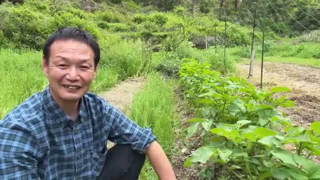 根本的な解決法:自然農法を続けること