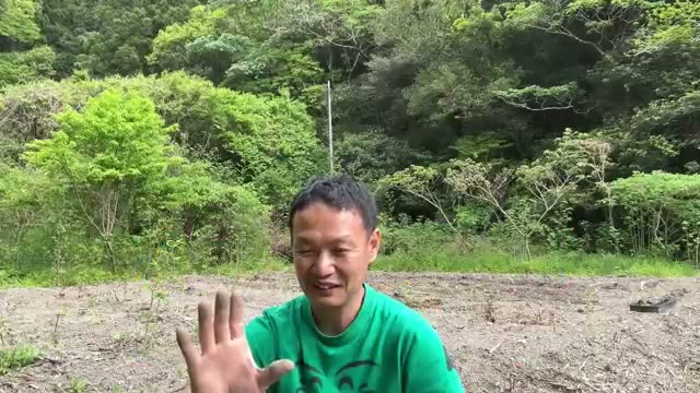 土の力が種を変える:わずか10日で高まる生命力