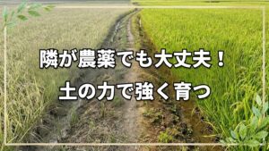 周囲が慣行農法でも自然栽培は可能!