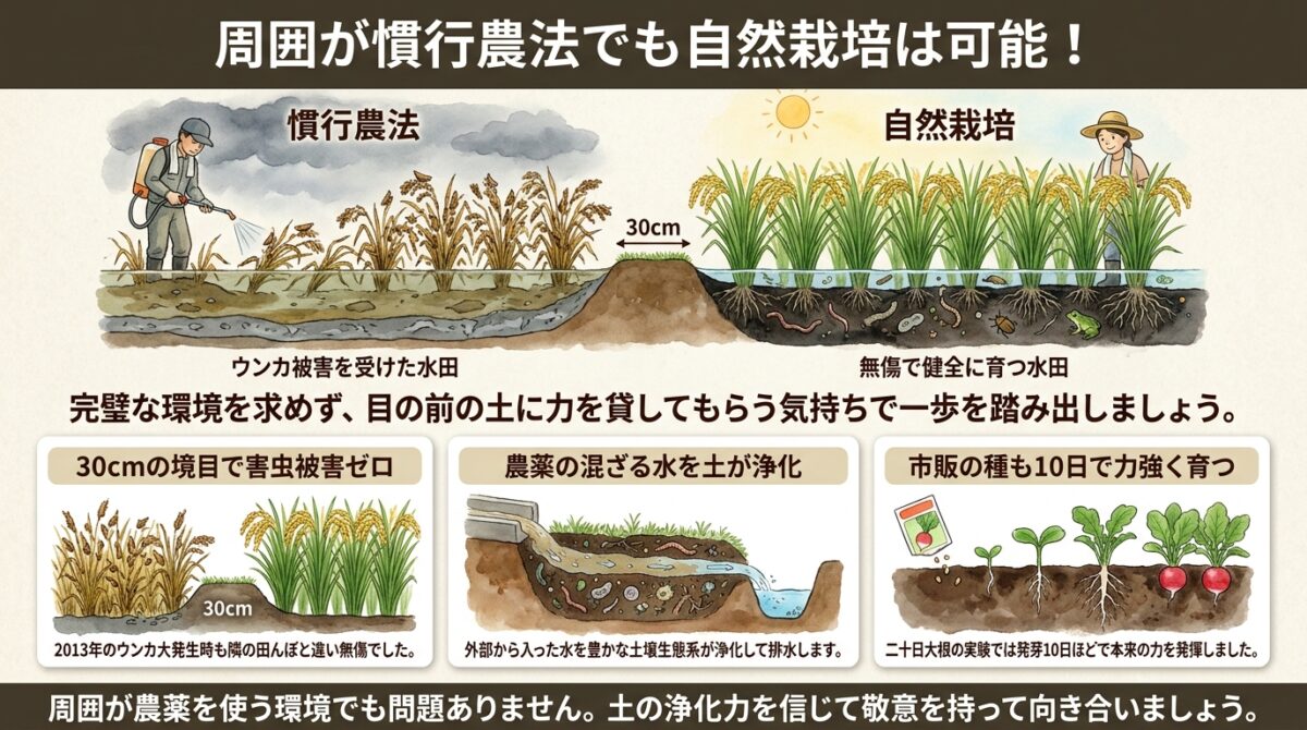 周囲が慣行農法でも自然栽培は可能!