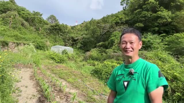 初心者にもおすすめ!生命力が強くて簡単な野菜