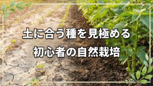 自然栽培の初心者向け野菜と適地適作