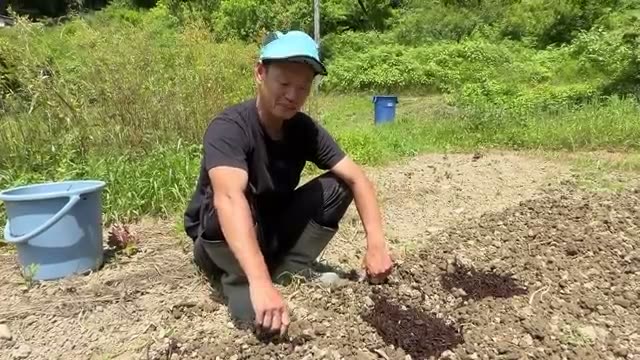 2. 腐葉土を活かす「ポイント施用」の知恵