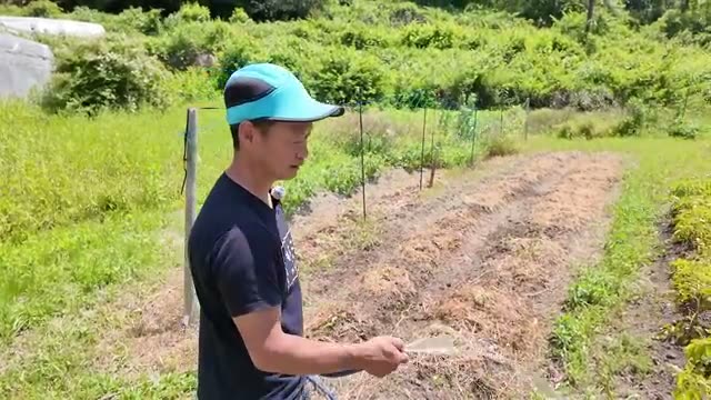 5. 作物別・シーン別の潅水ポイント