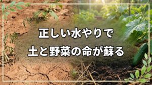 自然栽培の水やり極意と注意点