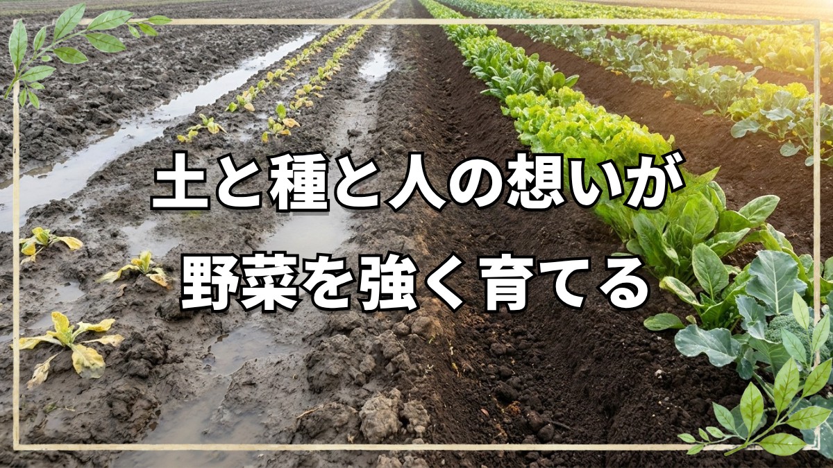 自然栽培を支える土・種・人の想い
